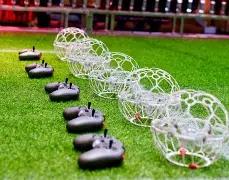 乐鱼体育,资讯,乐鱼体育官网,乐鱼体育,乐鱼体育官网,乐鱼体育官方,乐鱼体育下载