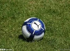 蒙城县三义,路小学荣获,全县中小学,乐鱼体育,乐鱼体育官网,乐鱼体育官方,乐鱼体育下载