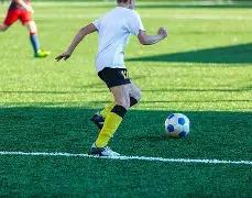 蒙城县三义,路小学荣获,全县中小学,乐鱼体育,乐鱼体育官网,乐鱼体育官方,乐鱼体育下载