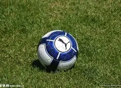 渝超联赛赛,程变动,重要信息球,乐鱼体育,乐鱼体育官网,乐鱼体育官方,乐鱼体育下载