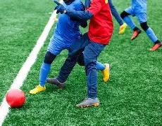 厦门奋力构,建数字升级,争当全国数,乐鱼体育,乐鱼体育官网,乐鱼体育官方,乐鱼体育下载