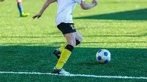 乐鱼体育 资讯 140811 pfz