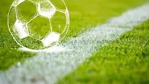 乐鱼体育 资讯 140741 7my