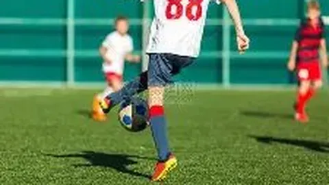 乐鱼体育 资讯 135756 a8k